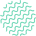 shape5
